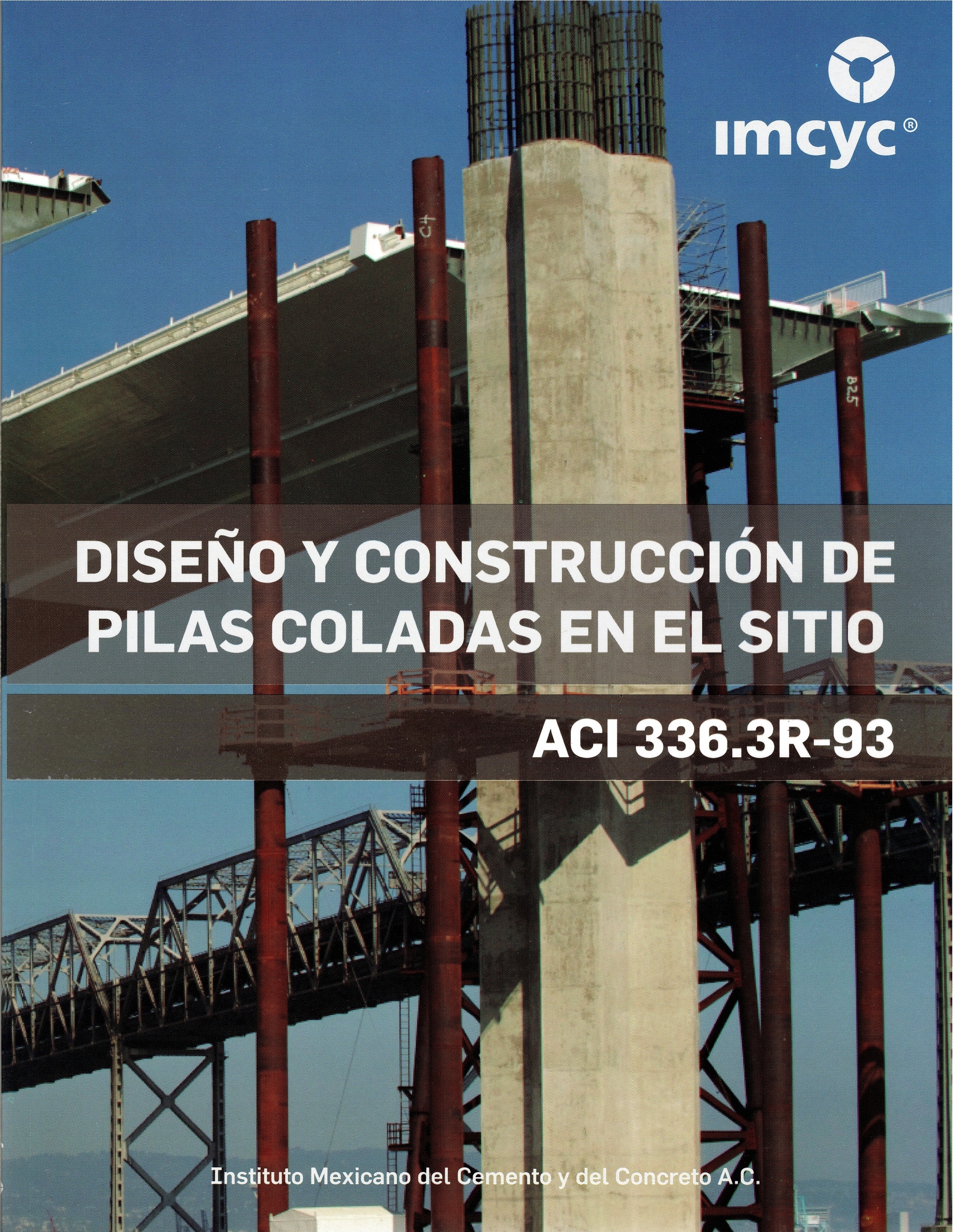 DISEÑO Y CONSTRUCCIÓN DE PILAS COLADAS EN EL SITIO